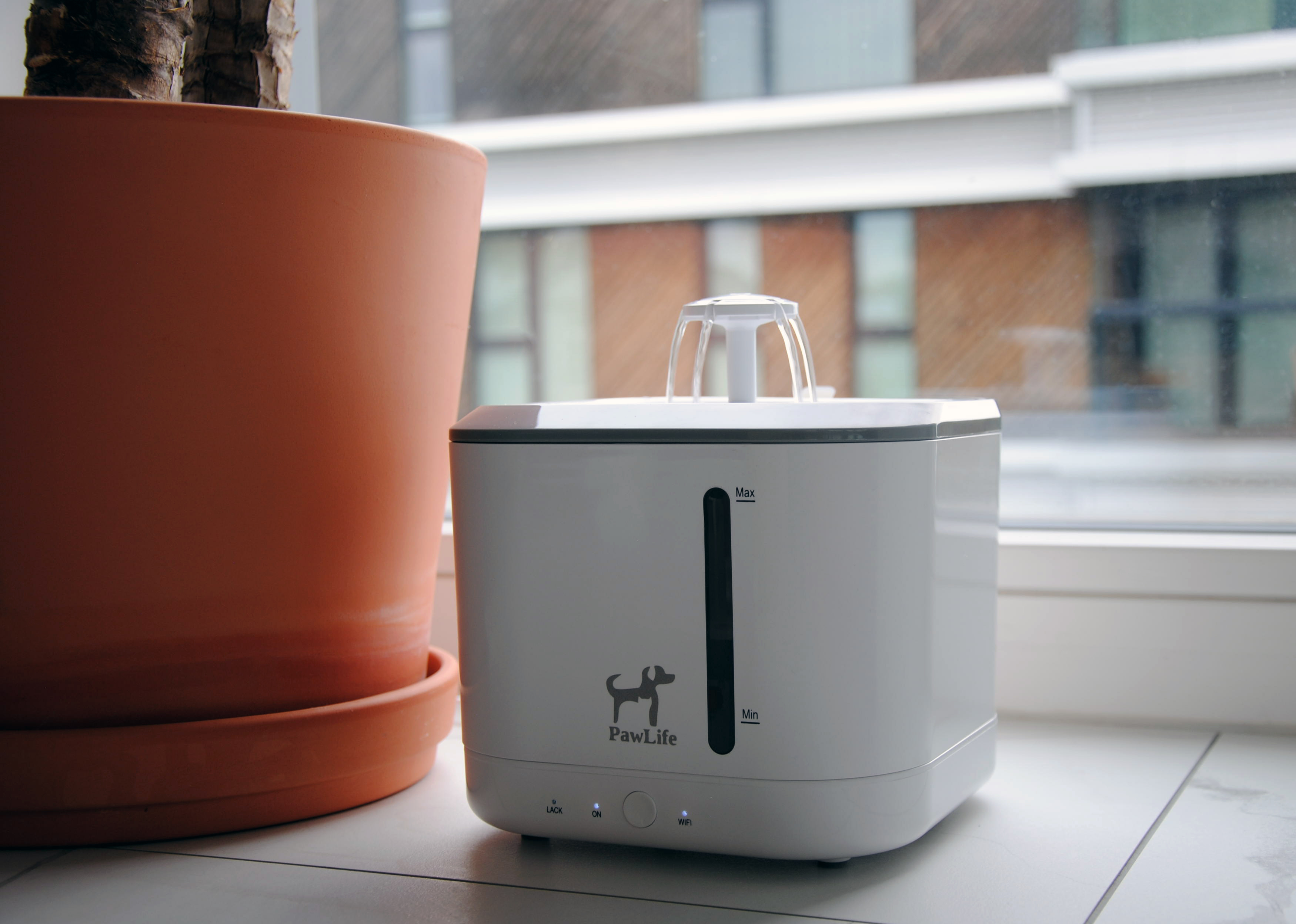 Pet Fountain